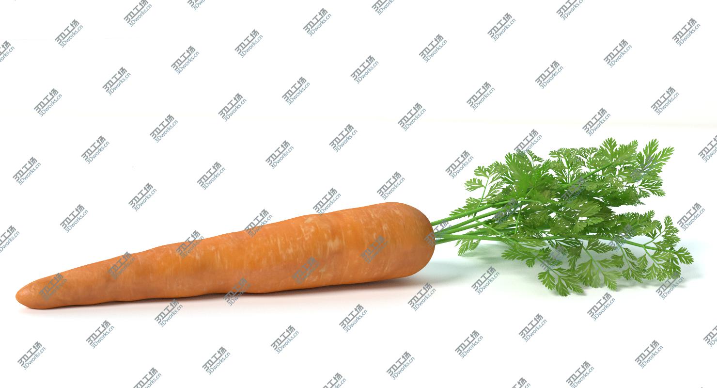 images/goods_img/2021040235/Carrot 2/4.jpg